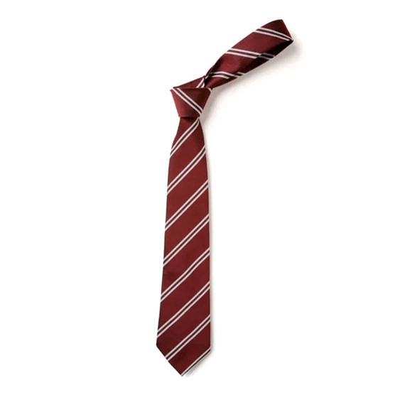 The Blandford School Tie