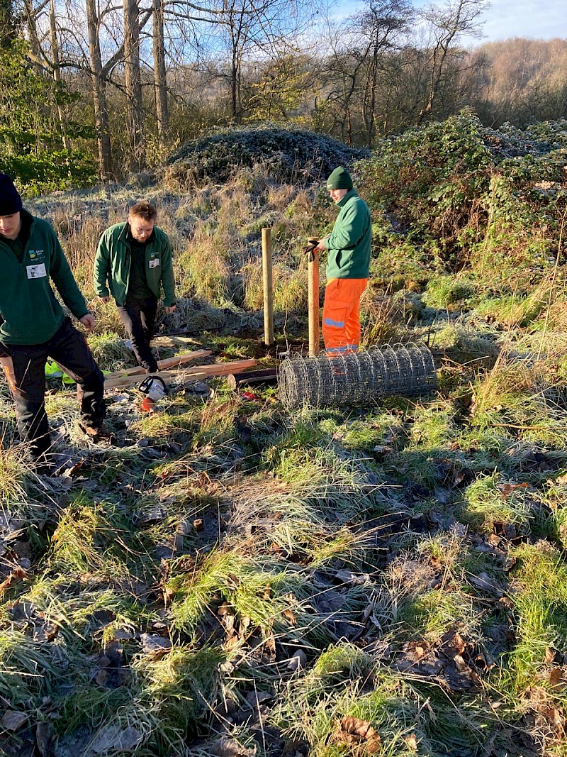 🌳 New Black Poplar Saplings Planted at The Blandford School! 🌳